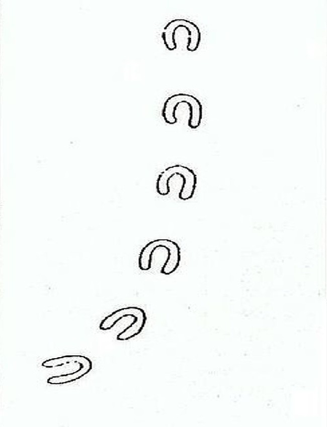 8 sự kiện chấn động không bao giờ có lần thứ hai  ảnh 5