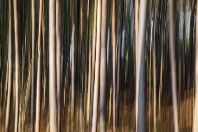 Nằm lòng 12 bí quyết chụp ảnh phong cảnh đẹp ảnh 10