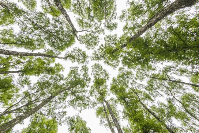 Nằm lòng 12 bí quyết chụp ảnh phong cảnh đẹp ảnh 12