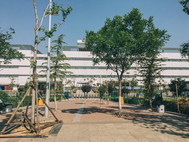 Khám phá Thành phố iPhone  - nơi ra đời của một nửa số iPhone thế giới  ảnh 6