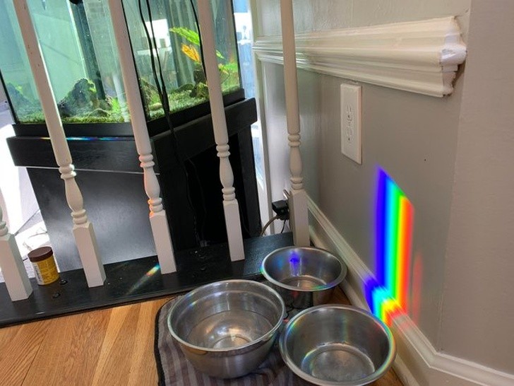 15 sáng tạo tuyệt vời đến từ mẹ thiên nhiên ảnh 13 15 sáng tạo tuyệt vời đến từ mẹ thiên nhiên ảnh 13