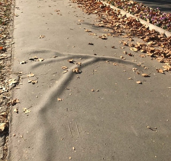 15 sáng tạo tuyệt vời đến từ mẹ thiên nhiên ảnh 12 15 sáng tạo tuyệt vời đến từ mẹ thiên nhiên ảnh 12