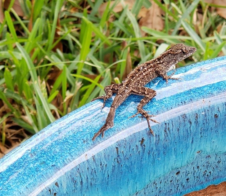 15 sáng tạo tuyệt vời đến từ mẹ thiên nhiên ảnh 4 15 sáng tạo tuyệt vời đến từ mẹ thiên nhiên ảnh 4