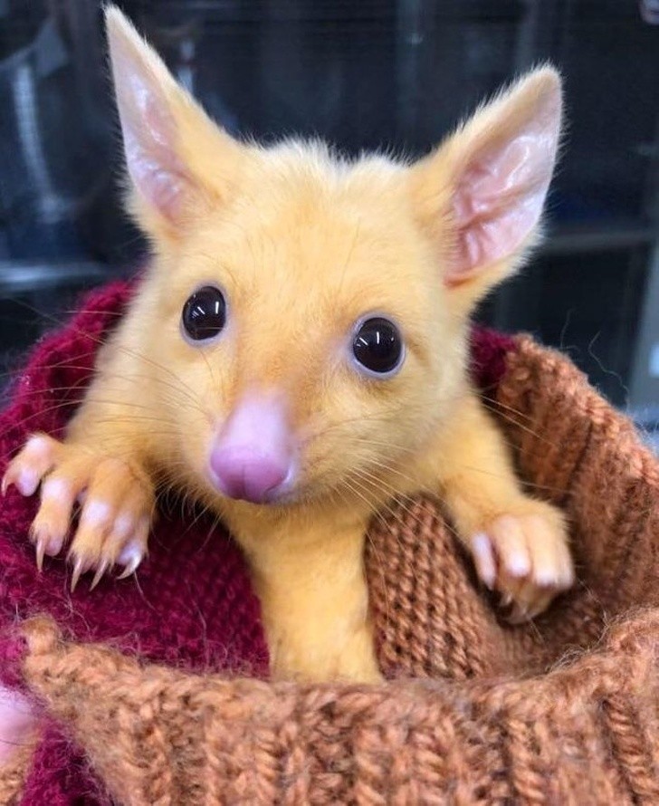 15 bức ảnh hài hước khiến cuộc sống của bạn tươi sáng hơn ảnh 10