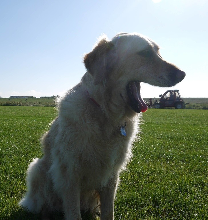 15 ảnh chụp động vật có khoảnh khắc hoàn hảo khiến bạn bối rối ảnh 14