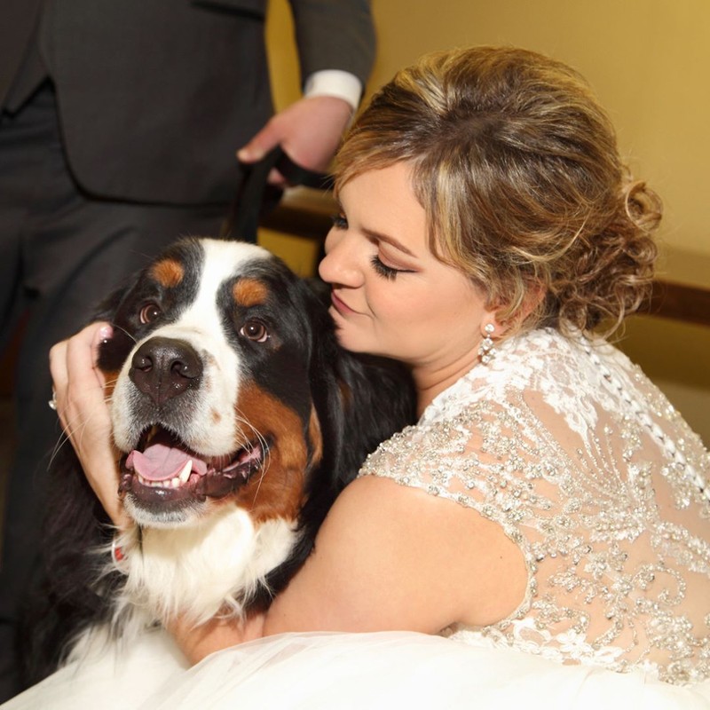 15 hình ảnh chứng minh cuộc sống sẽ ý nghĩa hơn nếu có thú cưng ảnh 8 15 hình ảnh chứng minh cuộc sống sẽ ý nghĩa hơn nếu có thú cưng ảnh 8