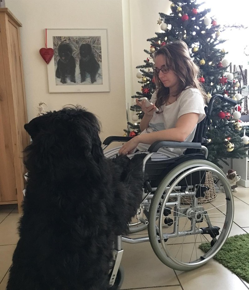 15 hình ảnh chứng minh cuộc sống sẽ ý nghĩa hơn nếu có thú cưng ảnh 11 15 hình ảnh chứng minh cuộc sống sẽ ý nghĩa hơn nếu có thú cưng ảnh 11