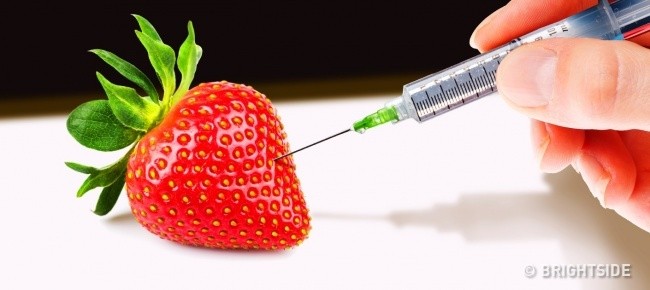 Bật mí 10 bí mật giúp bạn thoát chết vì ngộ độc thực phẩm 