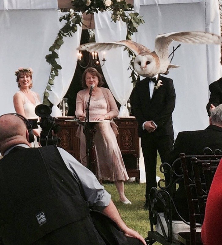 Chùm ảnh hài hước đánh lừa thị giác một cách ngoạn mục ảnh 14