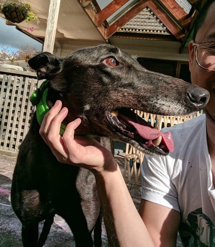 Chùm ảnh hài hước đánh lừa thị giác một cách ngoạn mục ảnh 11