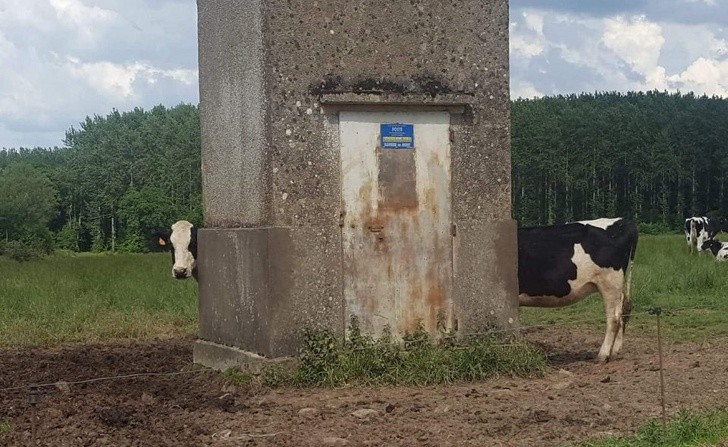 Chùm ảnh hài hước đánh lừa thị giác một cách ngoạn mục ảnh 7