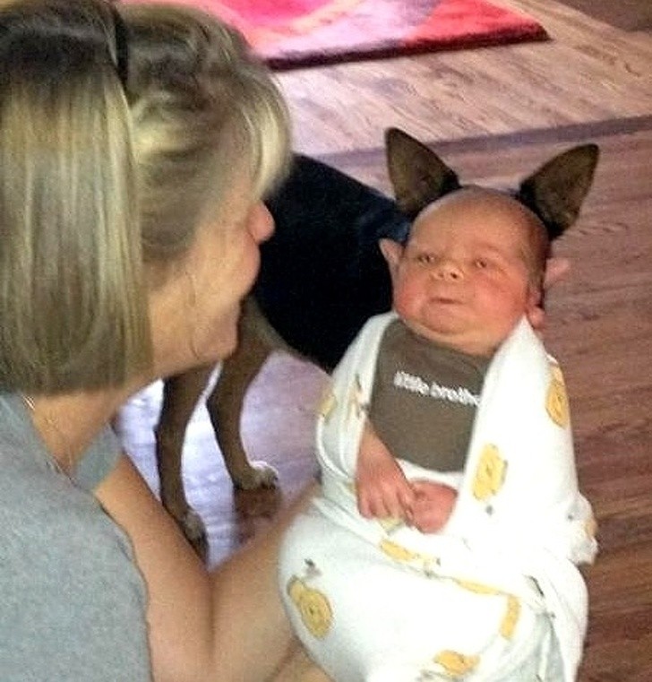 Nguồn: Bright Side