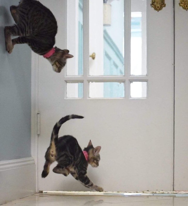 Nguồn: Bright Side