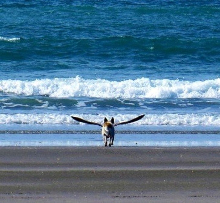 Nguồn: Bright Side