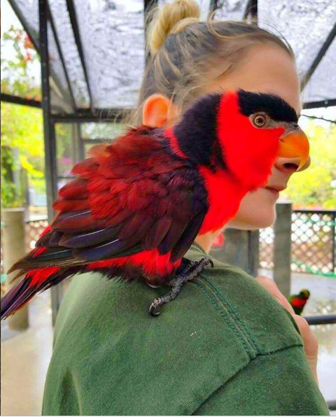 Nguồn: Bright Side