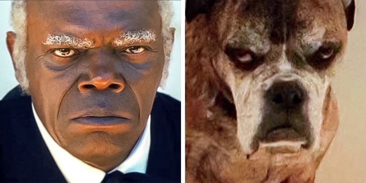 Nguồn: Bright Side