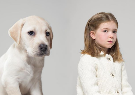 Nguồn: Bright Side