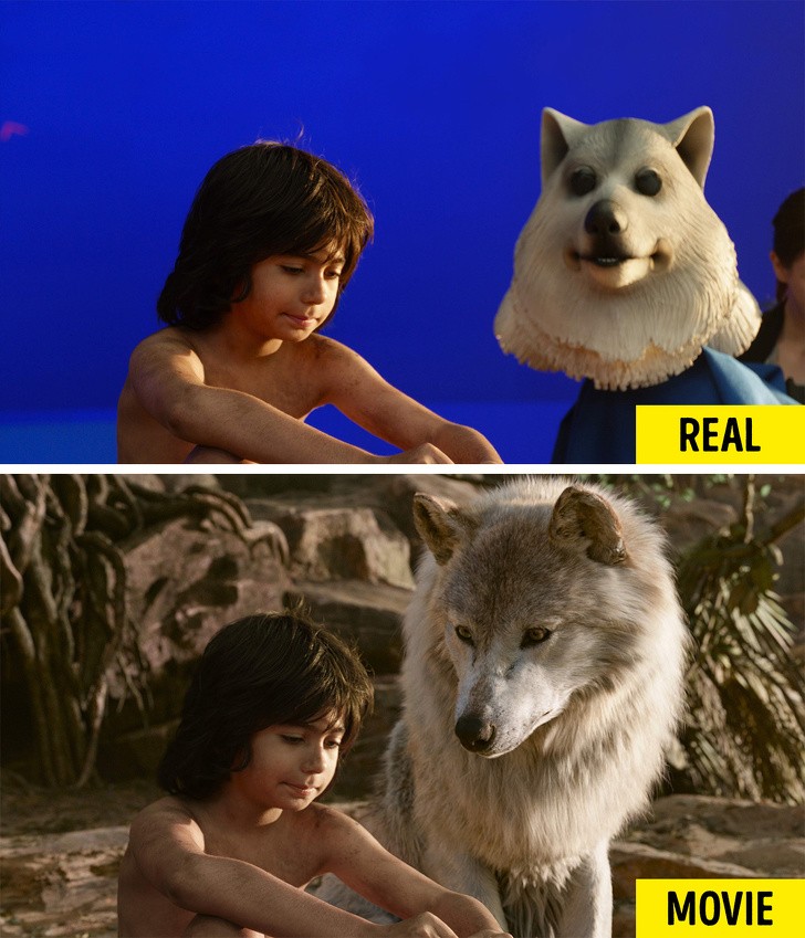 Nguồn: Bright Side