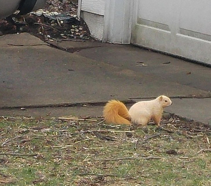 Nguồn: Bright Side