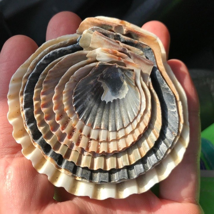 Nguồn: Bright Side