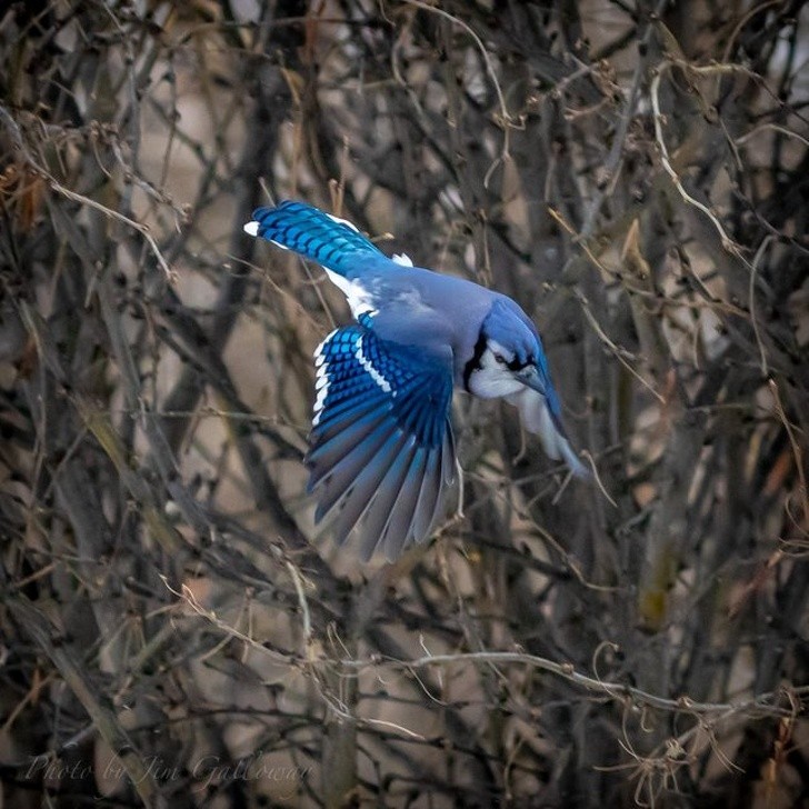 Nguồn: Bright Side