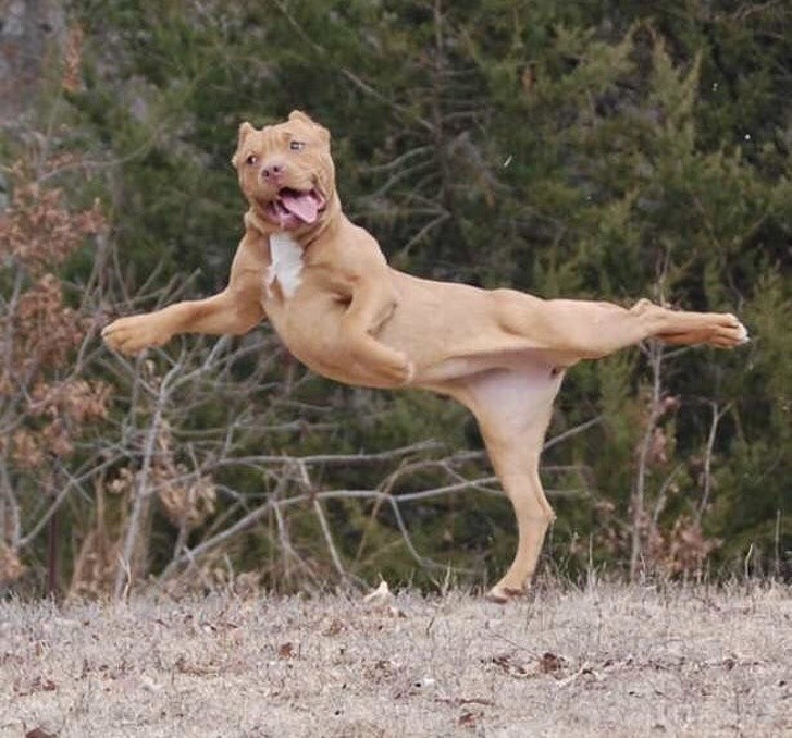 Nguồn: Bright Side Nguồn: Bright Side