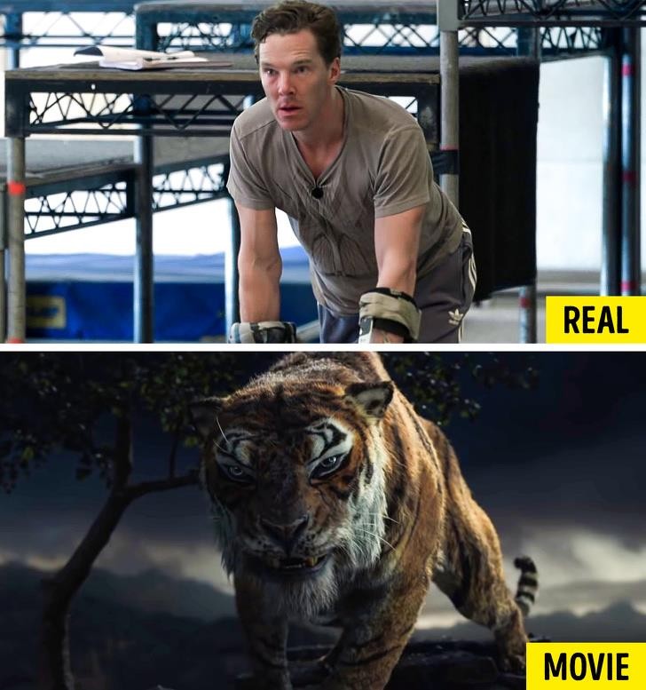 Nguồn: Bright Side Nguồn: Bright Side