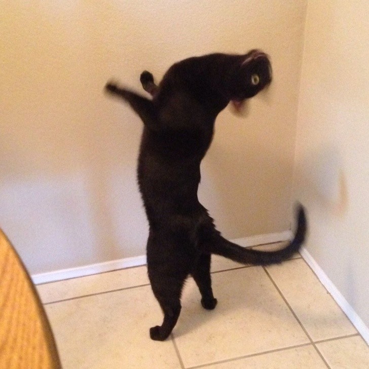 Nguồn: Bright Side