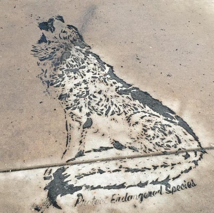 Nguồn: Bright Side