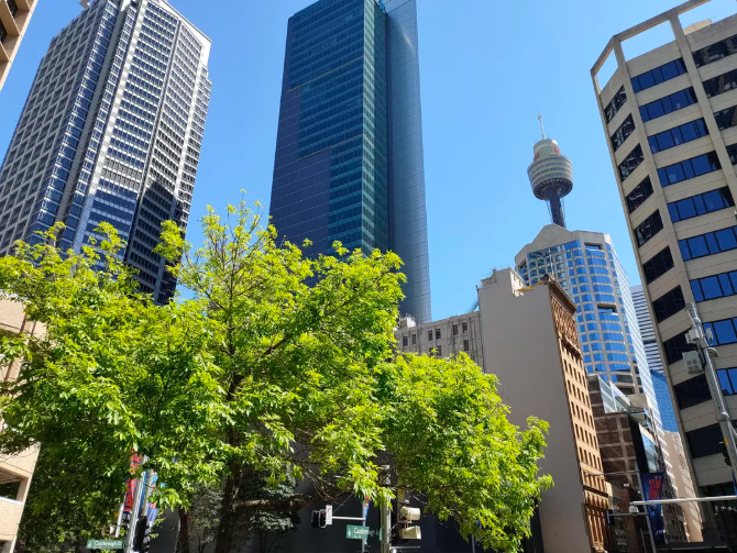 Hình ảnh chất lượng được chụp từ Reno Ace. Ảnh: CNET Ảnh: CNET