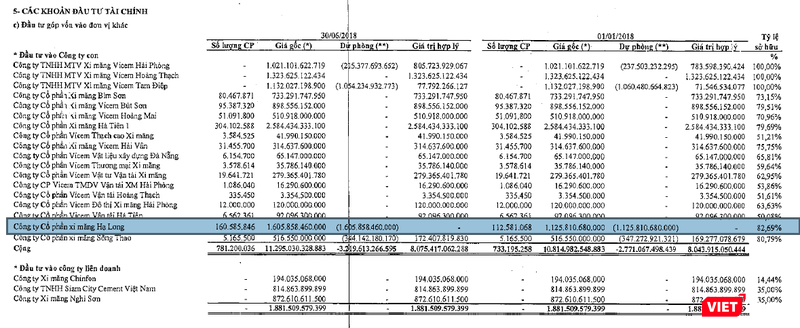 Tính đến 30/6/2018, Vicem đã đầu tư 1.606 tỷ đồng vào Xi măng Hạ Long. Nhưng đồng thời cũng trích lập dự phòng con số tương ứng.