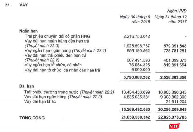 Biến động dư nợ vay của HAG tính tới cuối Quý 3/2018 (Nguồn: HAG)