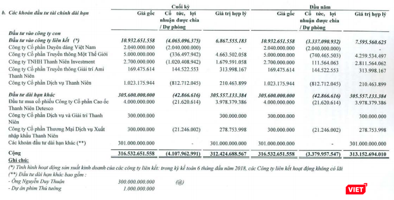 Các khoản đầu tư tài chính dài hạn tính đến ngày 30/6/2018 của CTCP Tập đoàn Truyền thông Thanh Niên (Nguồn: Thanh Niên Media Corp)