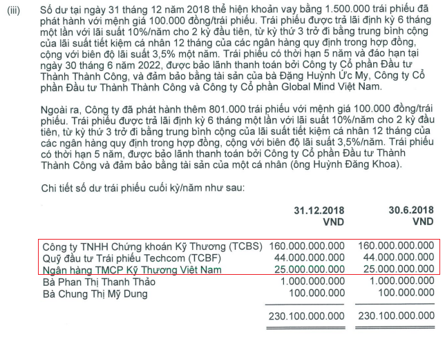 Giá trị các lô trái phiếu mà TTC Edu đã phát hành tính tới ngày 31/12/2018 (Nguồn: TTC Edu)