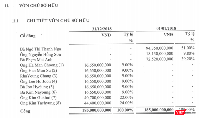 Cơ cấu cổ đông của Vina Securities tính đến thời điểm 31/12/2018 (Nguồn: Vina Securities) Cơ cấu cổ đông của Vina Securities tính đến thời điểm 31/12/2018 (Nguồn: Vina Securities)