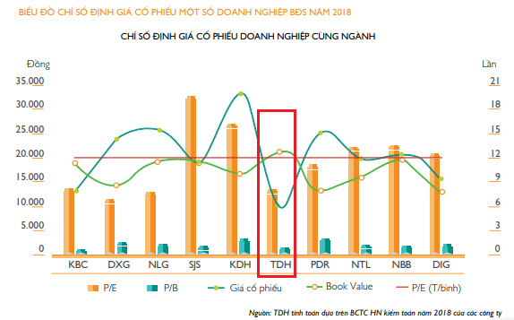 Một số chỉ số định giá của TDH (Nguồn: Báo cáo thường niên 2018)