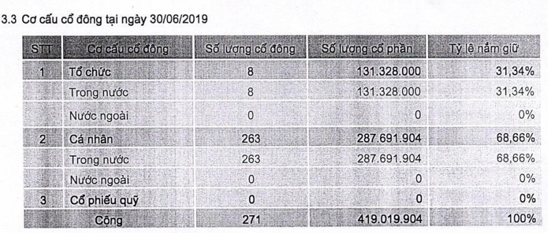Cơ cấu cổ đông của VietBank (Nguồn: VBB) Cơ cấu cổ đông của VietBank (Nguồn: VBB)
