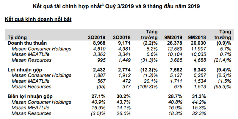 Kết quả kinh doanh của Masan trên một số lĩnh vực chính (Nguồn: MSN)