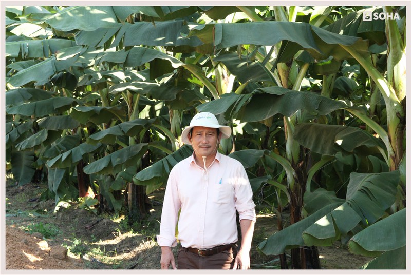 Chú Hưng (tên thường gọi của ông Nguyễn Quan Anh - Phó Tổng giám đốc HAGL Agrico, Tổng giám đốc HNG Campuchia)