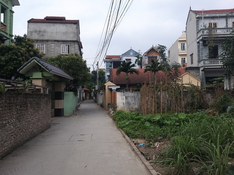 Con ngõ 234 dẫn vào trụ sở doanh nghiệp trăm ngàn tỉ - Ảnh: BN