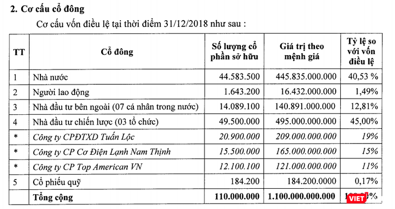 Cơ cấu cổ đông của CC1 chốt ngày 31/12/2018 (Nguồn: CC1)