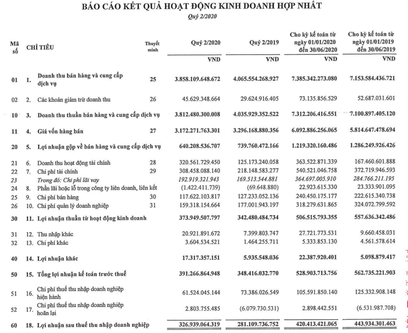 Kết quả kinh doanh của Gelex nửa đầu năm 2020 (Nguồn: GEX)