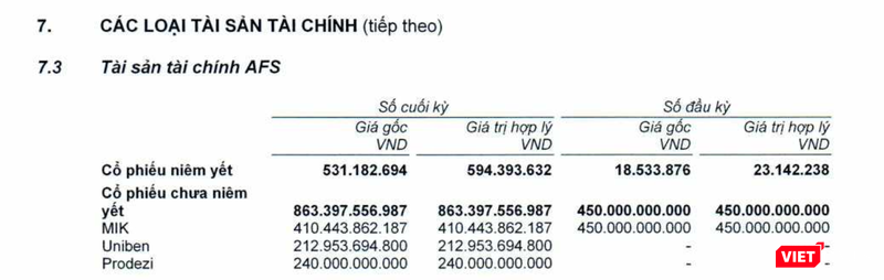 Các khoản đầu tư vào cổ phiếu chưa niêm yết của TCBS tại ngày 30/6/2021