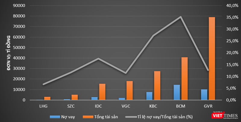 Tỉ lệ nợ vay trên tổng tài sản tại ngày 30/6/2021 của một số doanh nghiệp hoạt động trong lĩnh vực bất động sản khu công nghiệp
