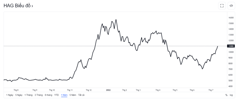 Diễn biến giá cổ phiếu HAG (Nguồn: Tradingview)
