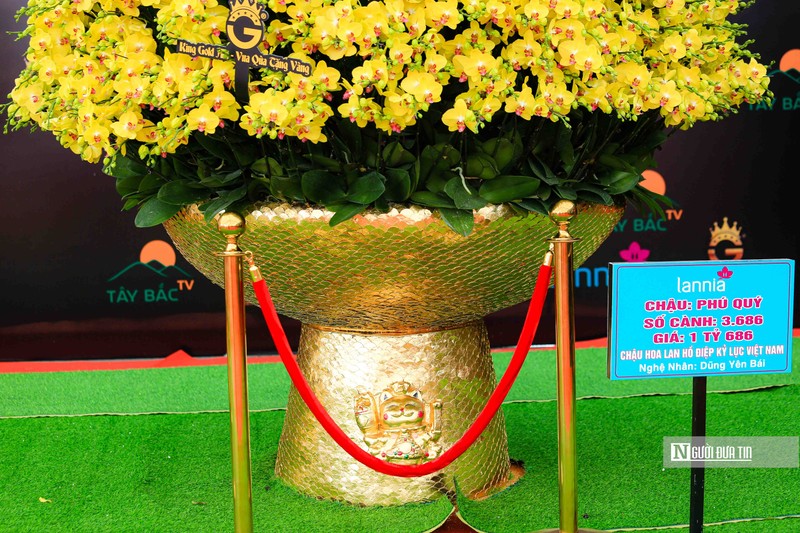 (Ảnh: Người đưa tin)