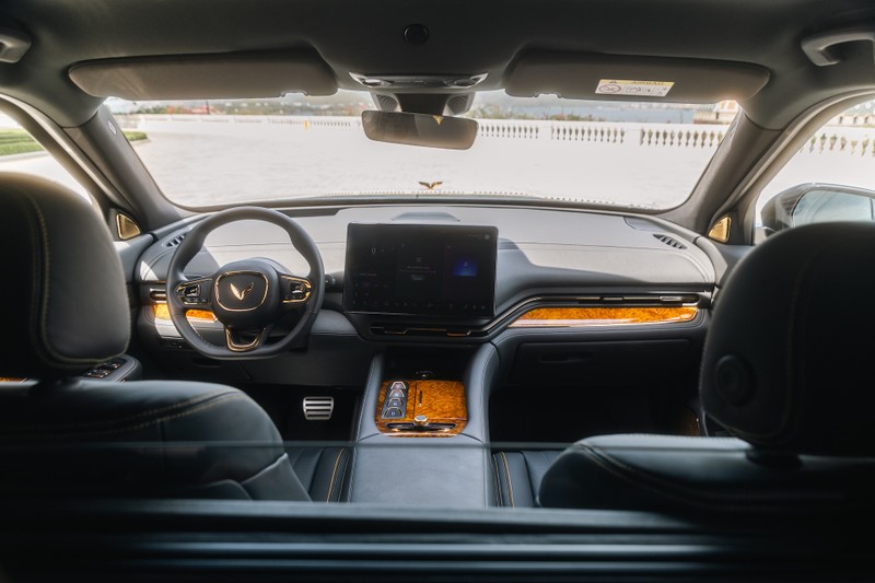 Lac Hong 900 LX 5.jpeg