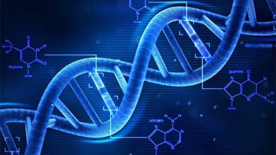 Minh họa trình tự bộ gen người