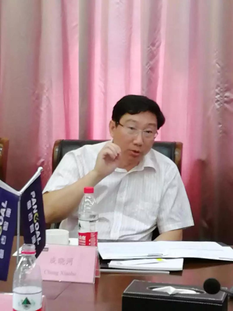 Phó giáo sư Thành Nhiêu Hà cho rằng, ông Lưu Hạc trong vai trò Đặc sứ của Chủ tịch Tập Cận Bìnhcó thể thay mặt cả ông Tập Cận Bình trong việc giải quyết một số vấn đề quan trọng.