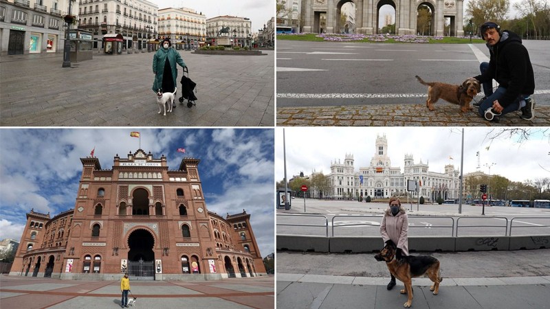 Bất chấp lệnh cấm ra khỏi nhà, nhiều người Tây Ban Nha vẫn dắt cho đi dạo (Ảnh: AP).